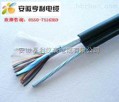 NH-DJFP3FP3-(金桐石油)(NH-DJFP3FP3计算机电缆)(六安) _供应信息_商机_中国环保设备展览网